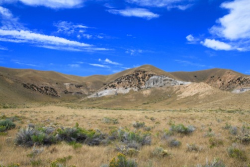 montana-sage-and-grasslands